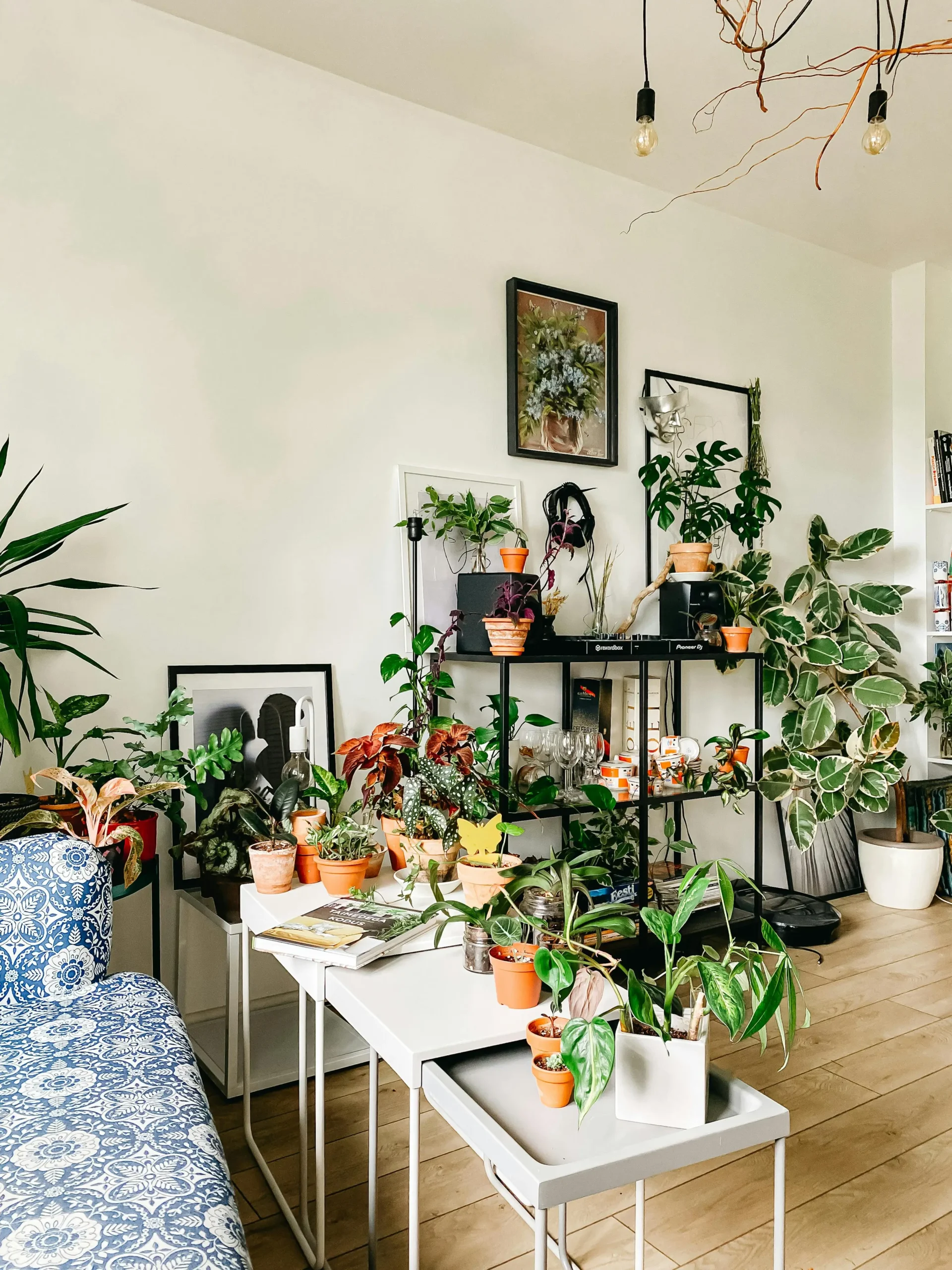 Cache-pot design pour plante d'intérieur dans un salon lumineux