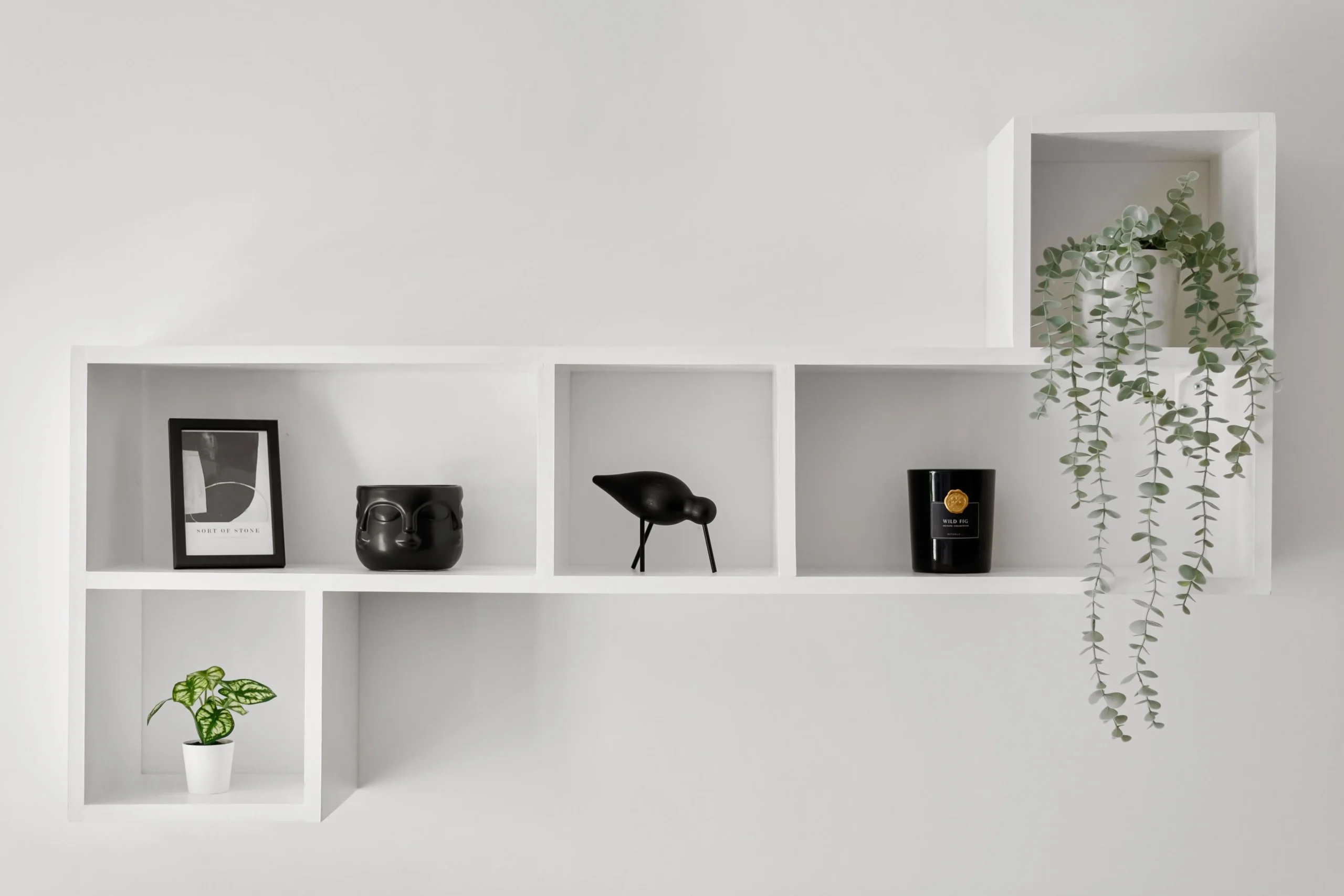 Couloir d'entrée décoré de plantes vertes et de cadres botaniques