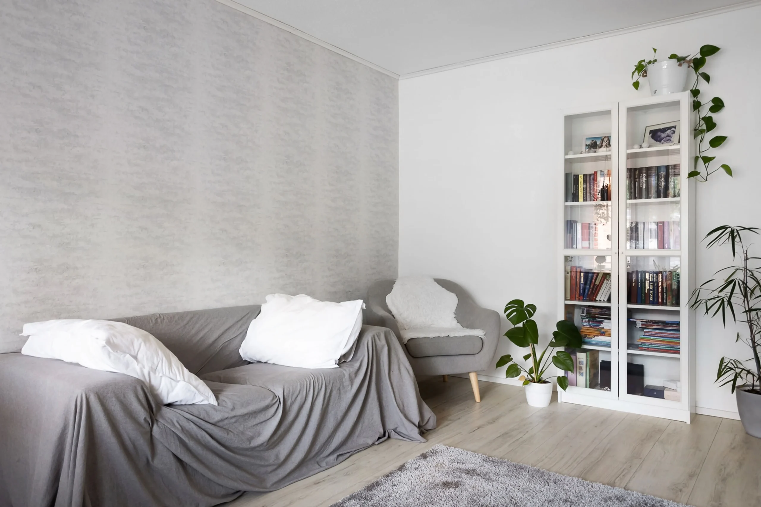 Bookshelf styled with trailing plants and succulents