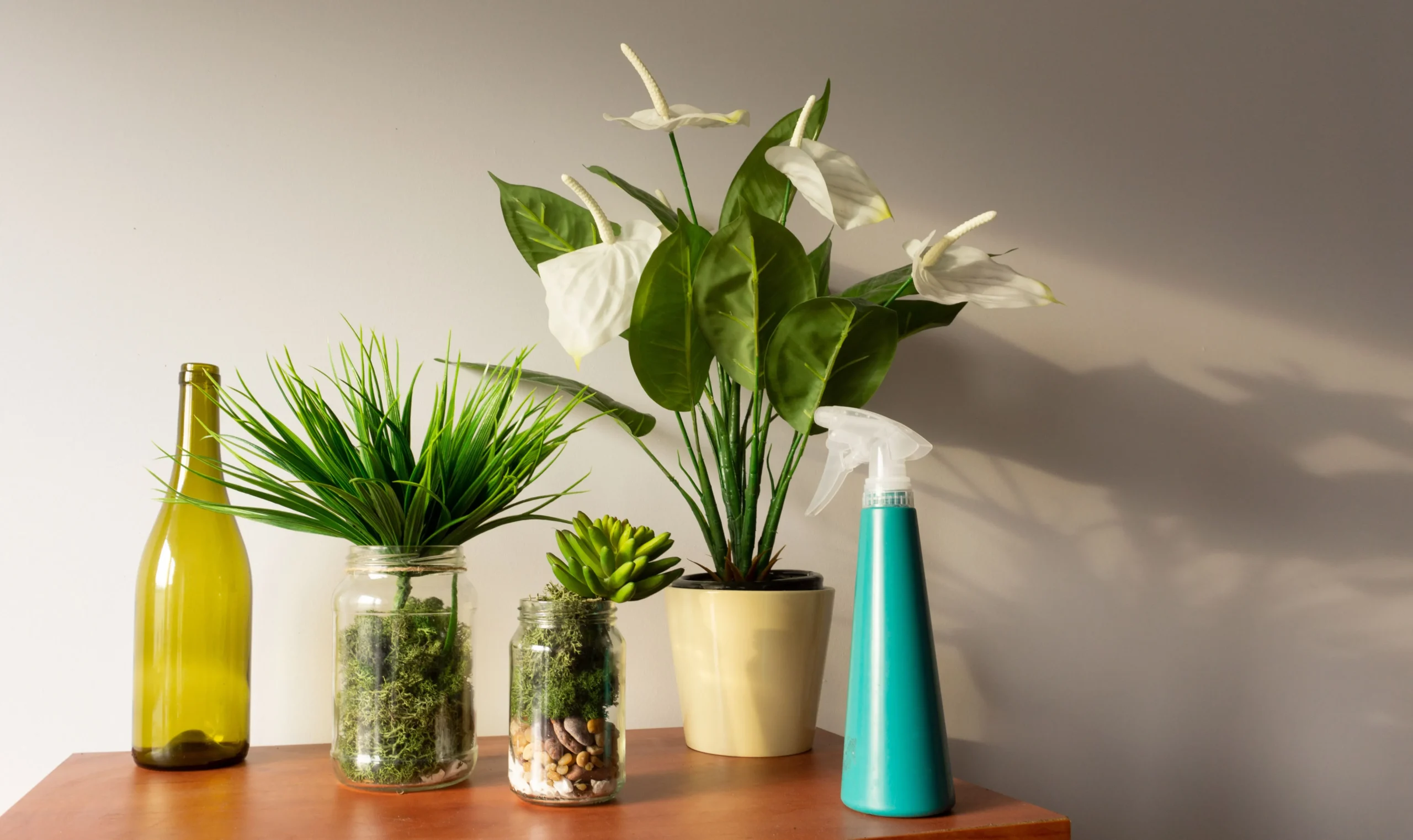 Humidificateur pour plantes