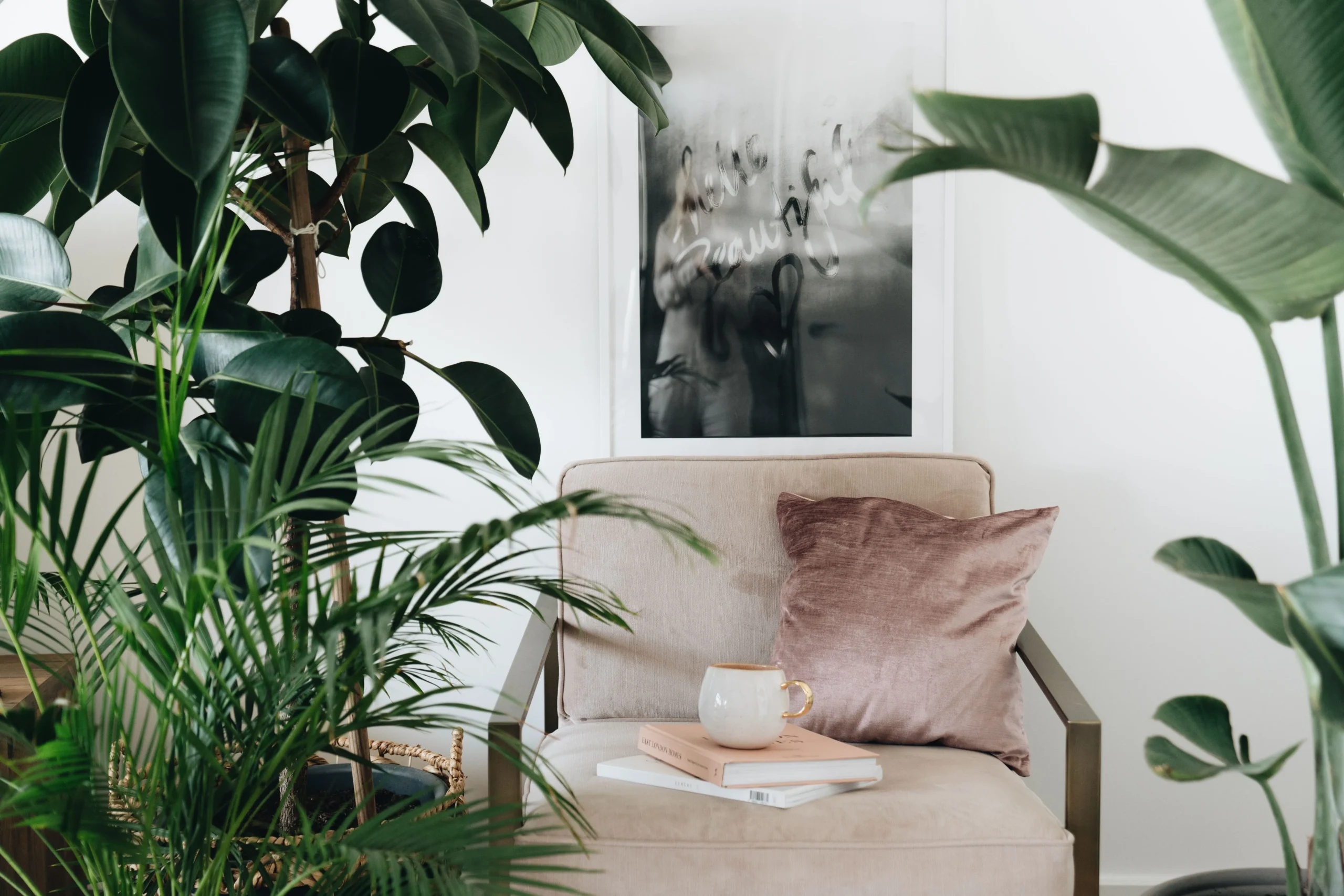 Angle jungle avec un monstera et des plantes basses dans un salon lumineux
