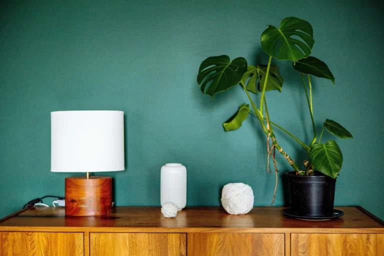 Top 5 idées déco jungle urbaine pour votre appartement en 2026