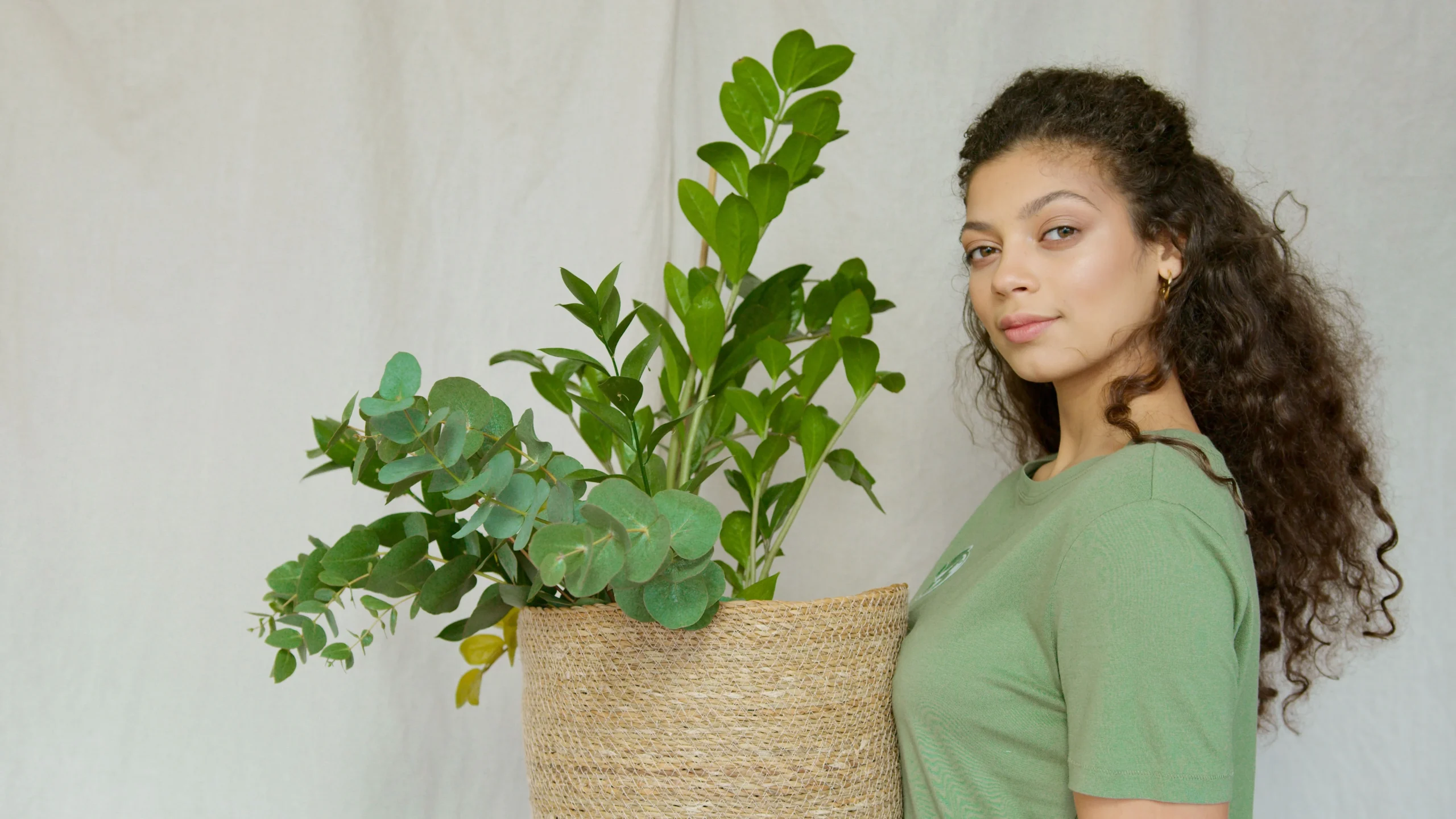 Cache-pot en jute pour plante d'intérieur