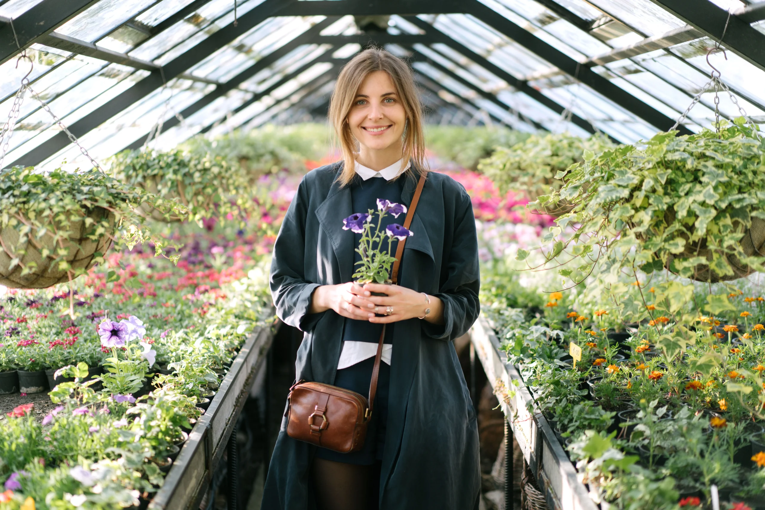 Orchidée livrée par Truffaut — spécialiste plantes à fleurs
