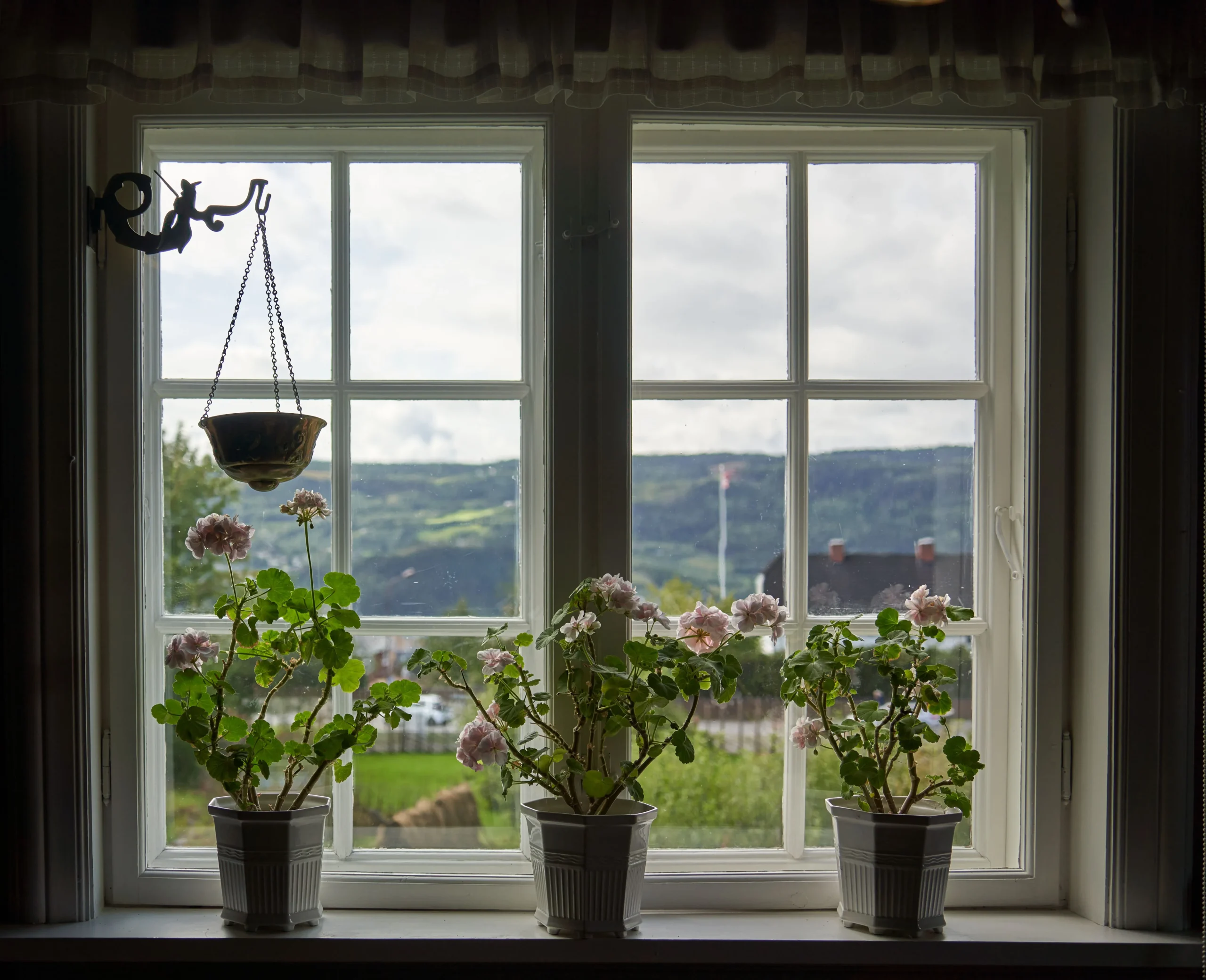 Windowsill filled with a variety of potted plants