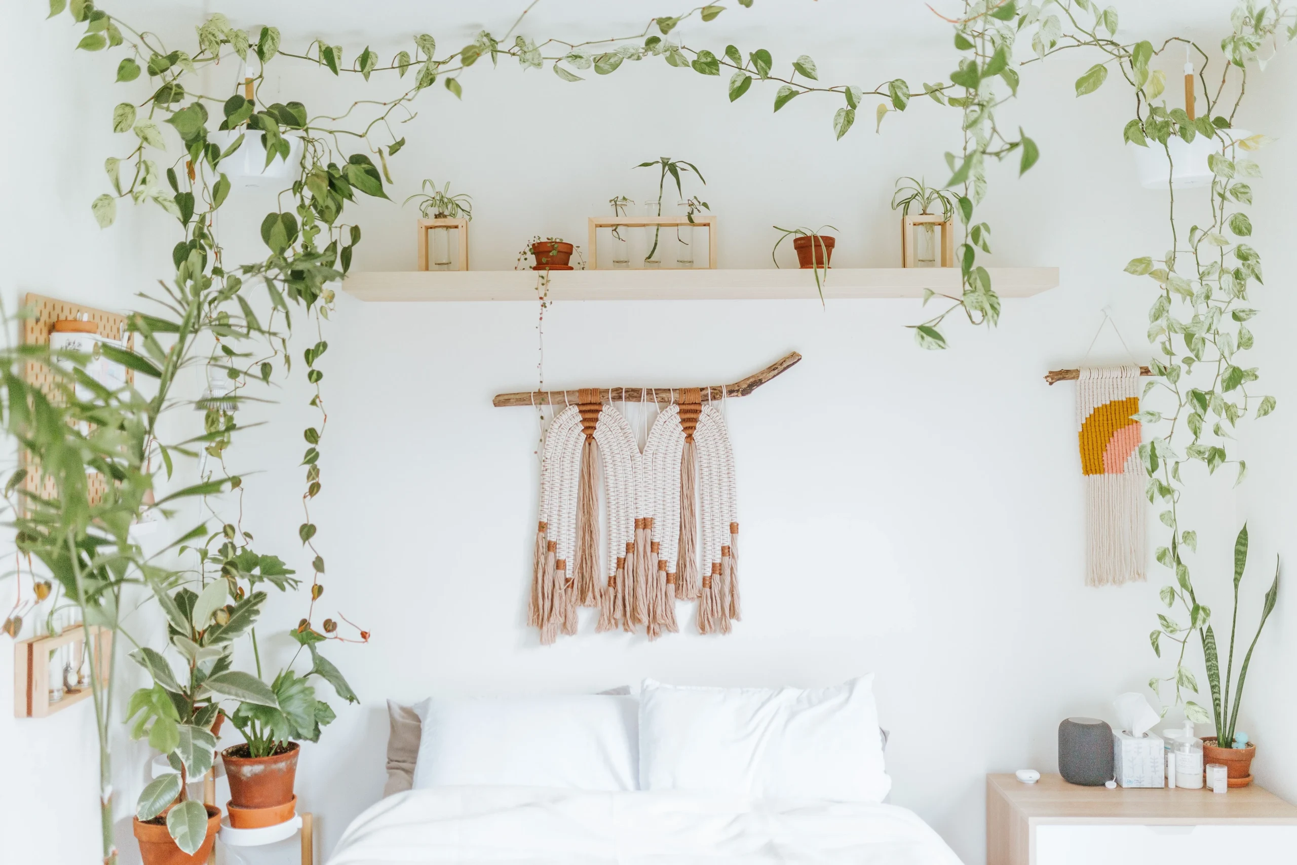 Plantes pour chambre à coucher pour favoriser le sommeil naturellement