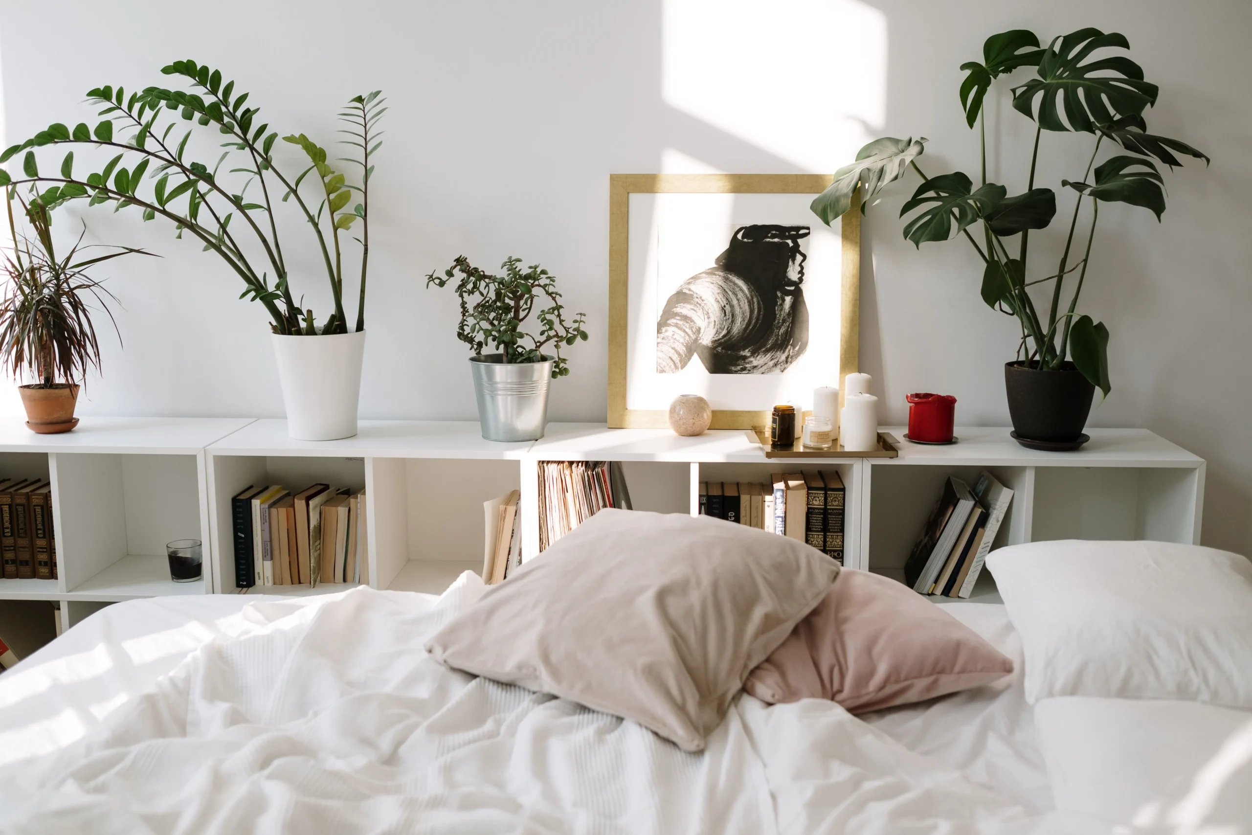Plante d'intérieur posée sur une commode dans une chambre à coucher