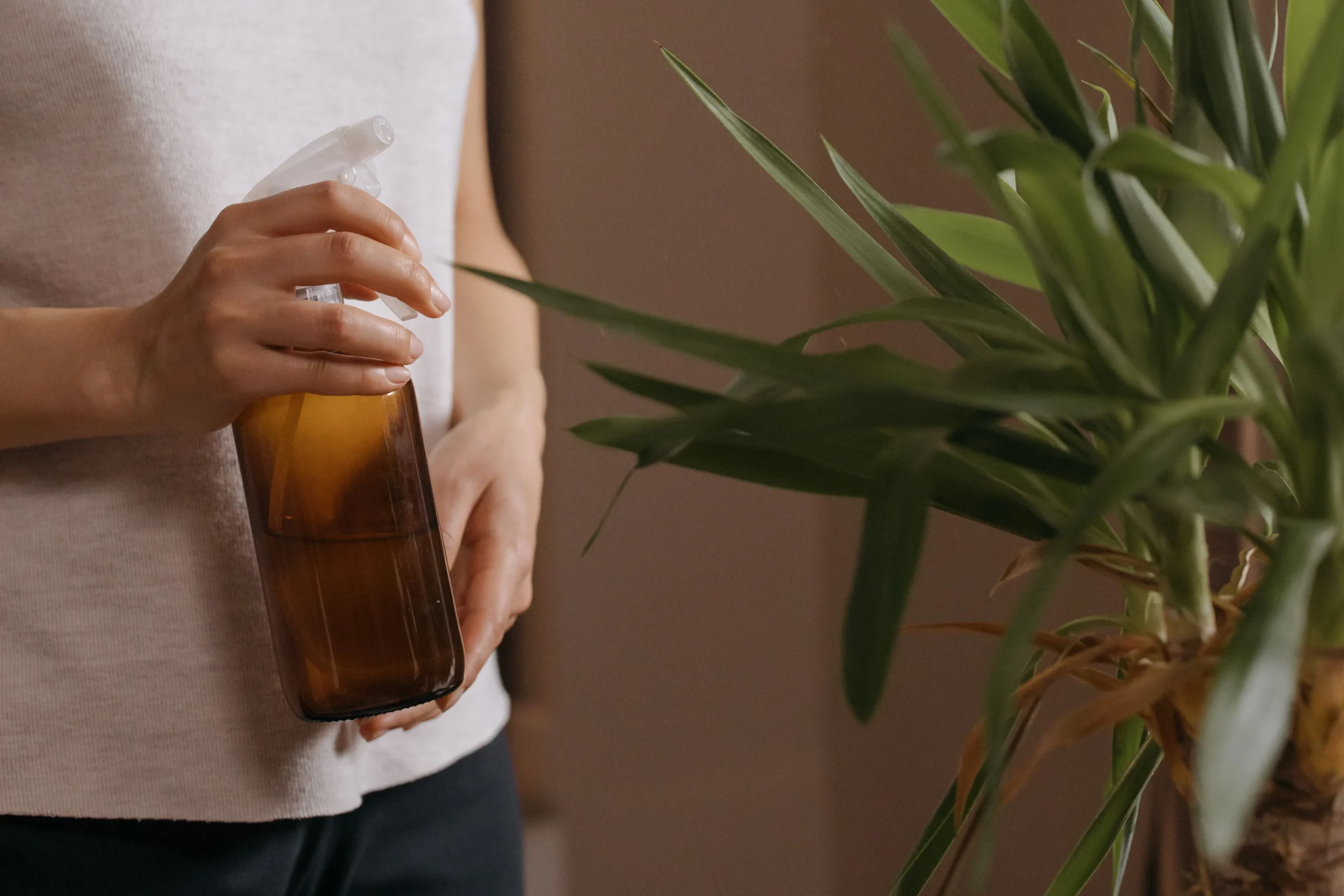Engrais liquide bio