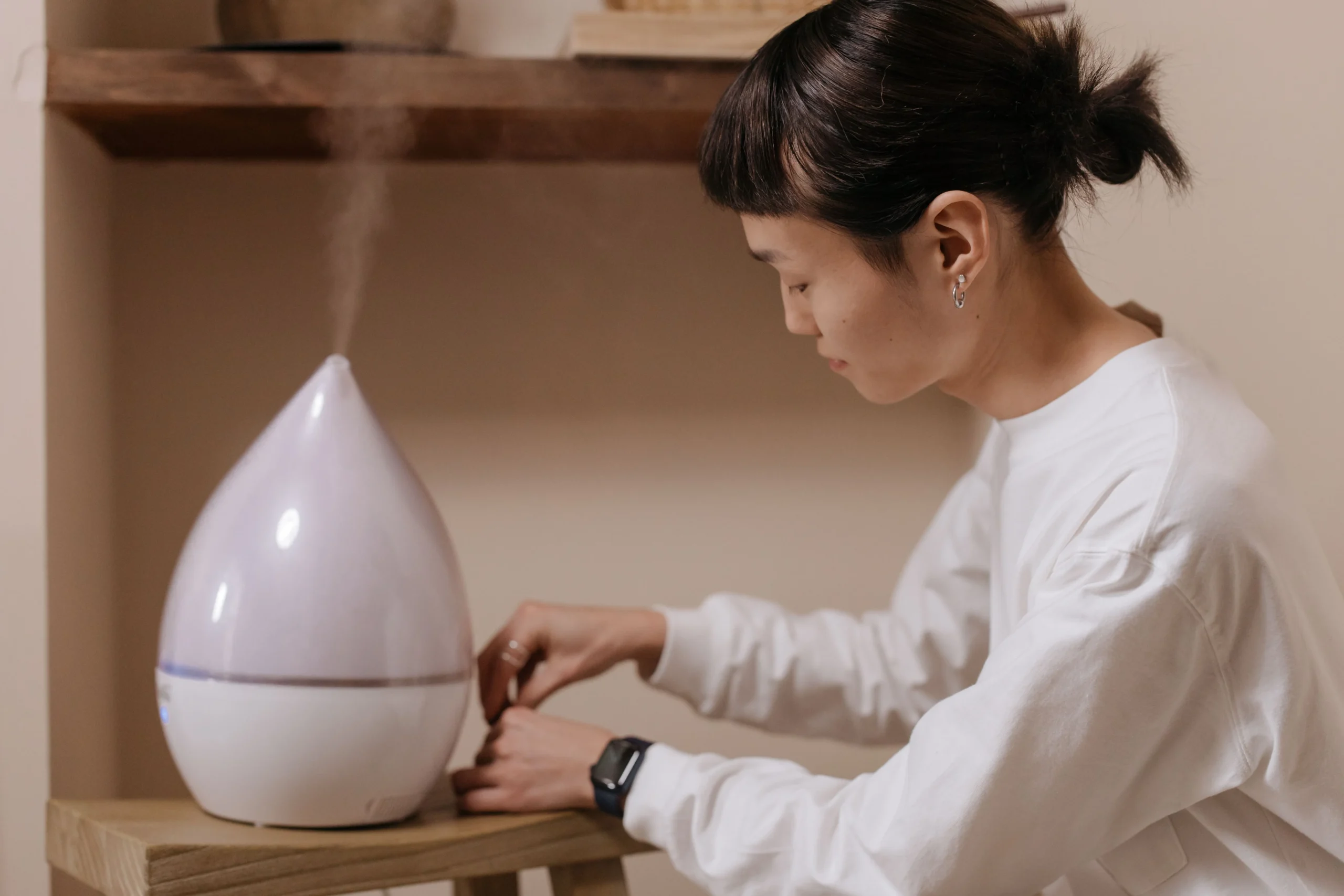 Plant humidifier