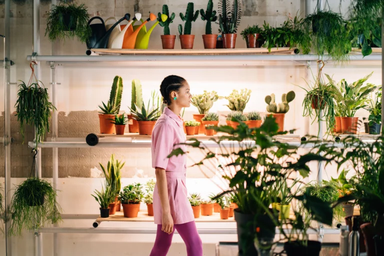 Choisir un Pot Plante Intérieur : Guide Complet 2026 (Tailles, Matières, Styles)