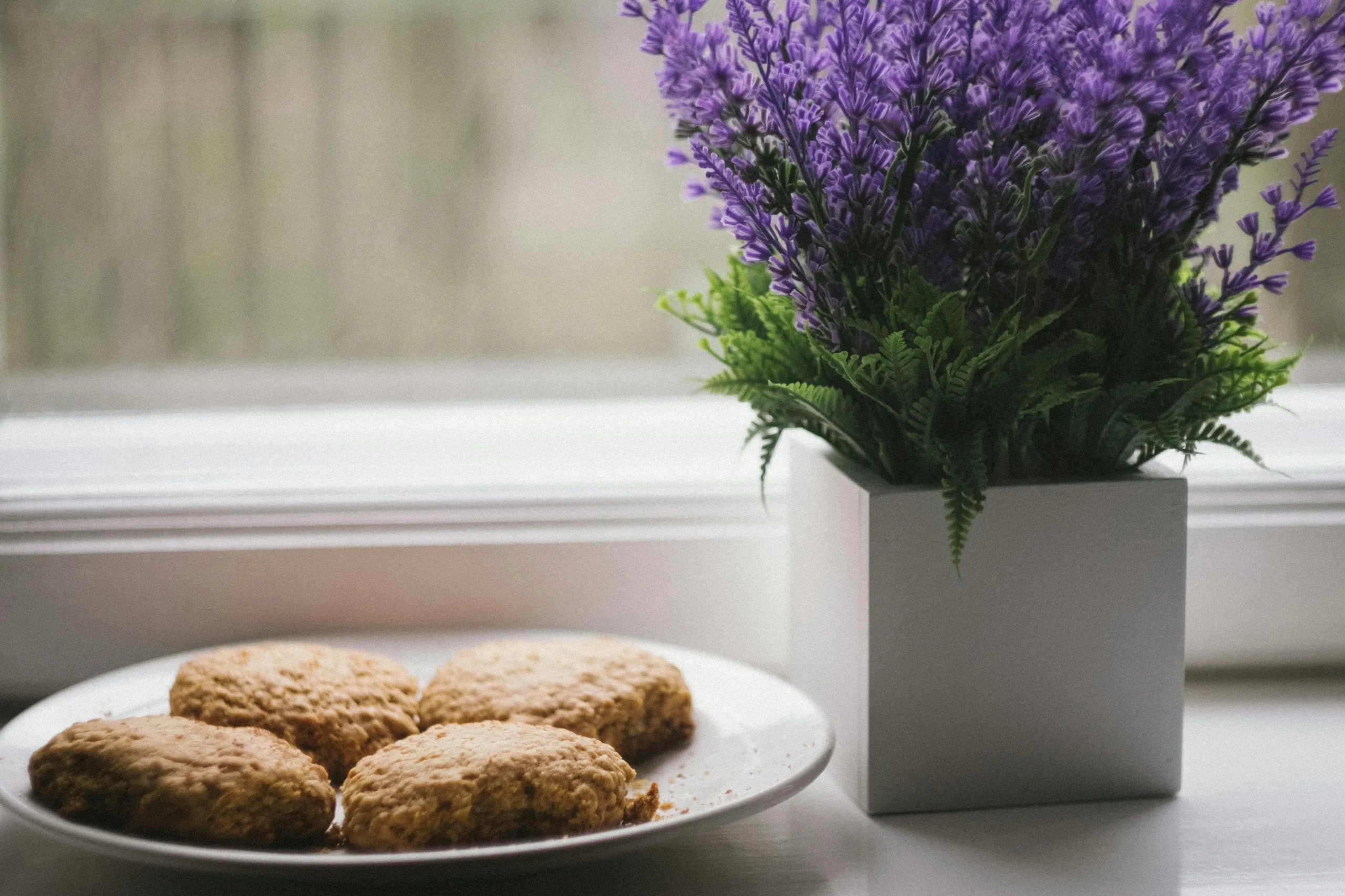 Lavande en pot, plante anti-stress