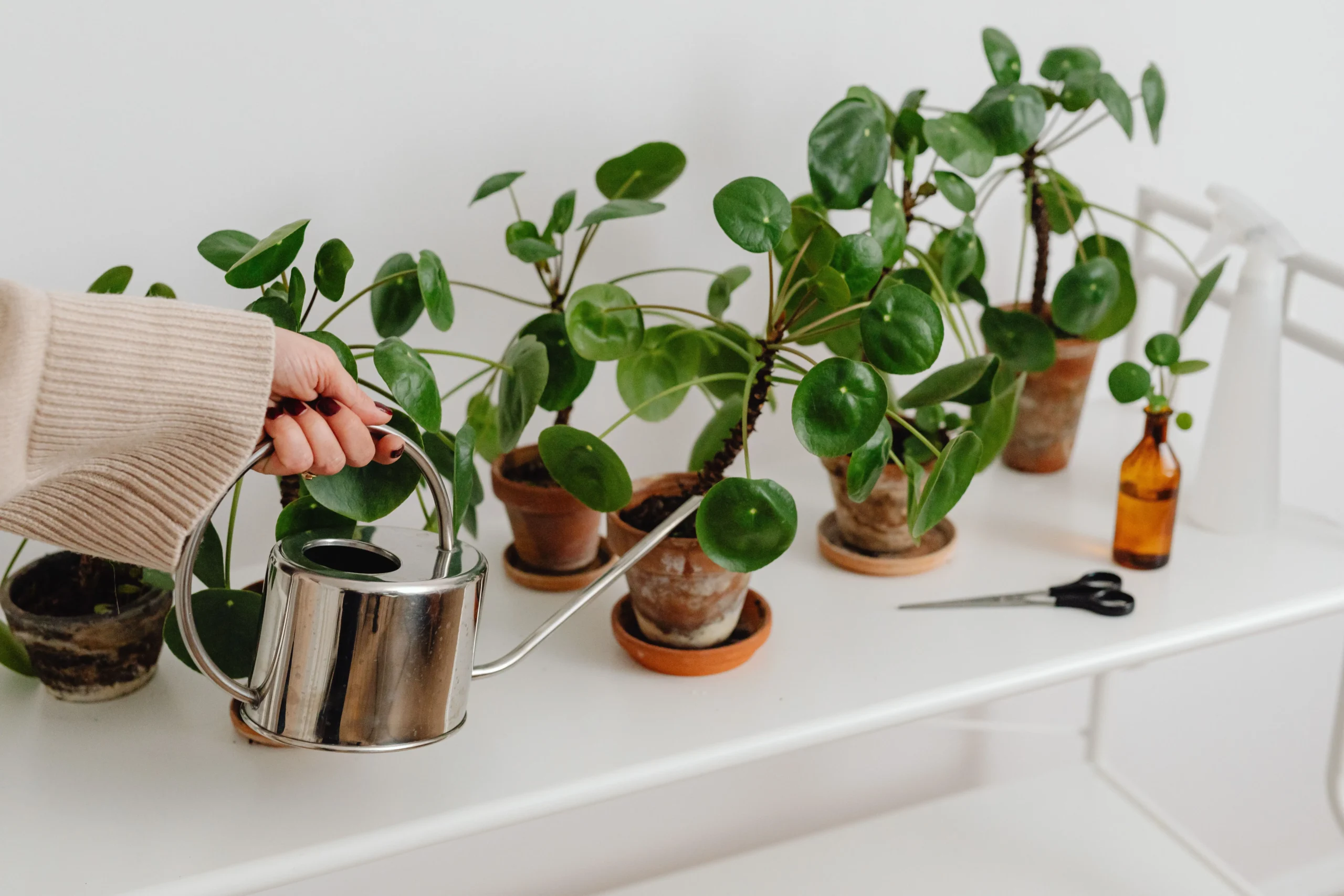 Pot plante intérieur design dans un salon moderne