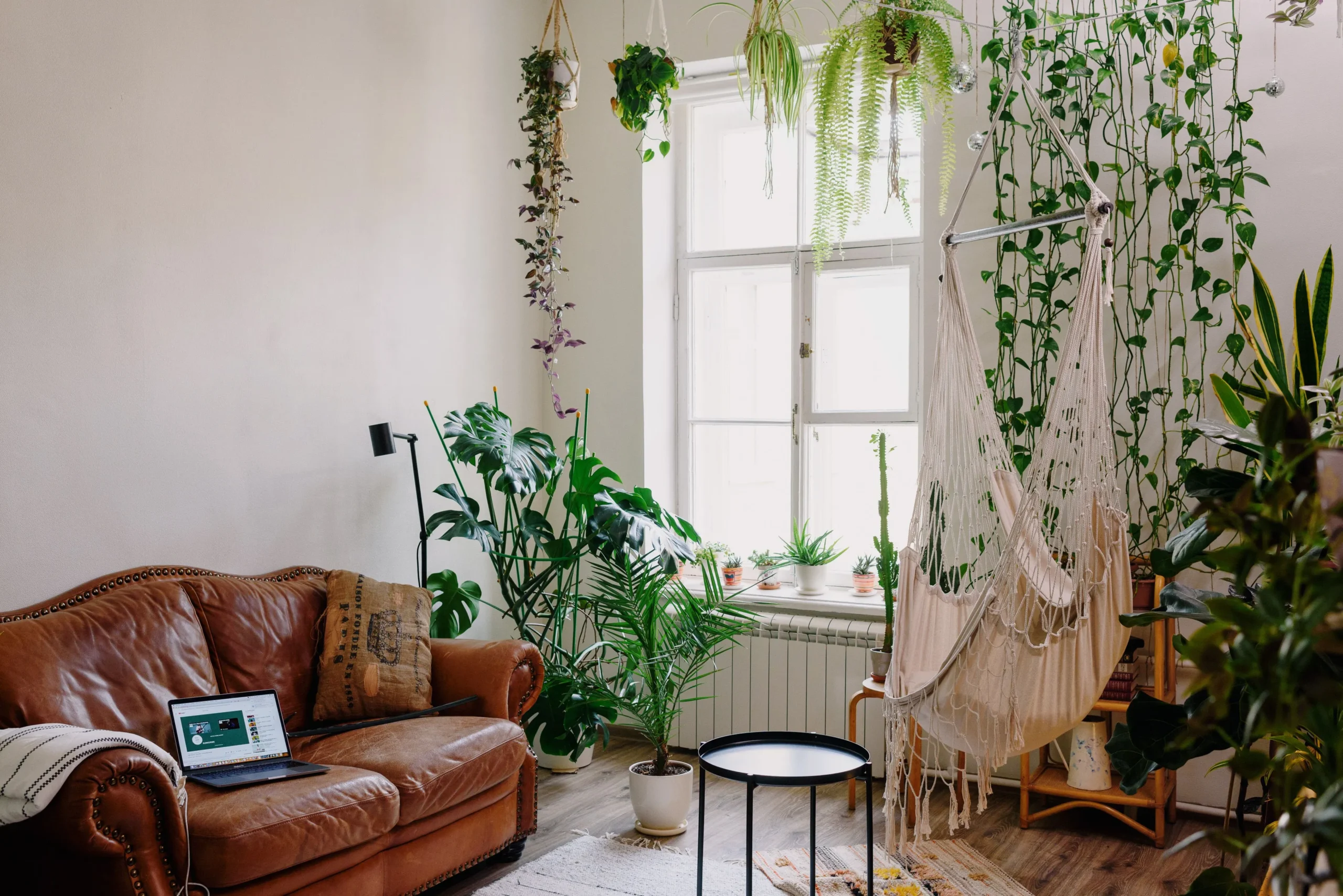 Déco jungle urbaine appartement 2026 — salon transformé avec plantes d'intérieur suspensions et grandes plantes