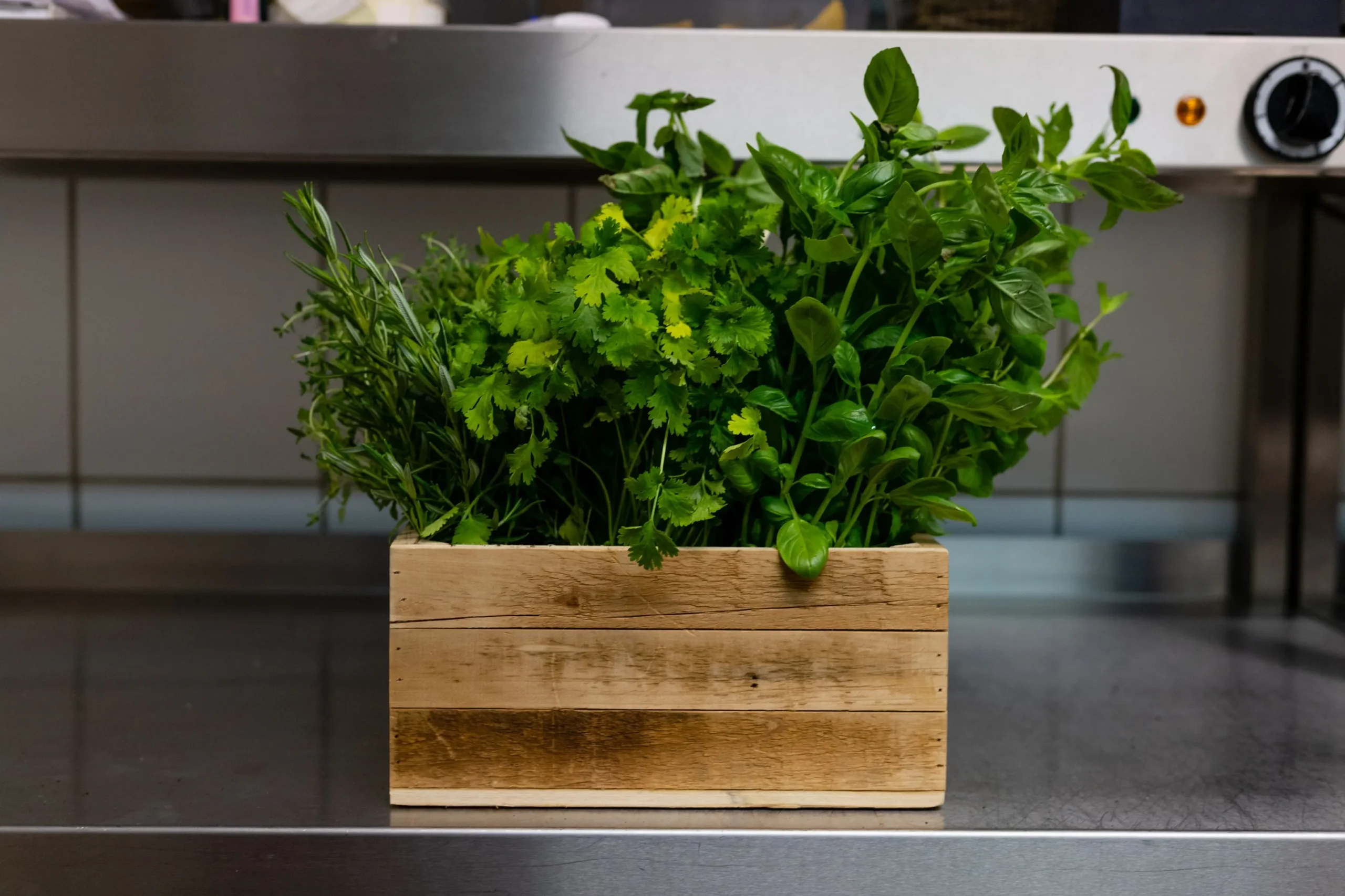 Wood planter for indoor plants