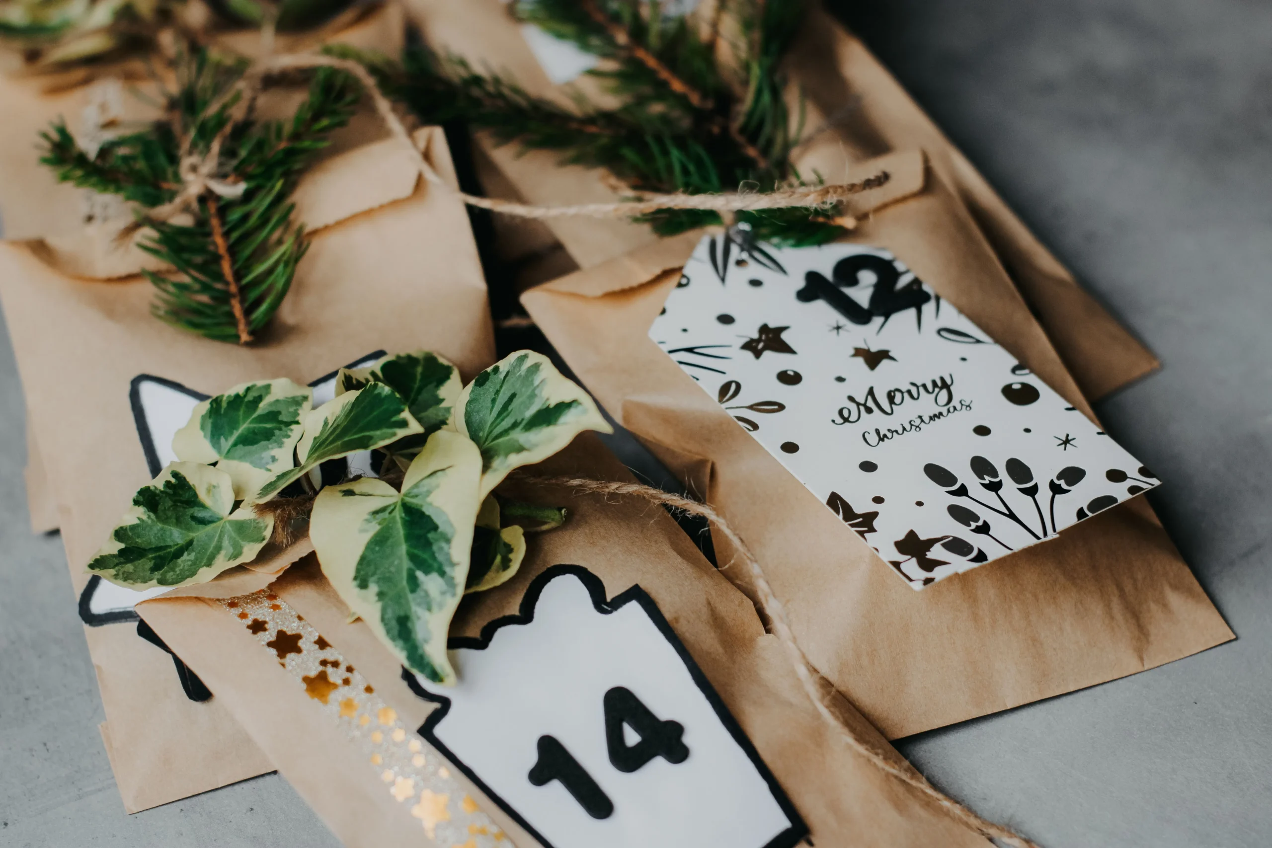 Carton de livraison de plantes en ligne — test comparatif 2026