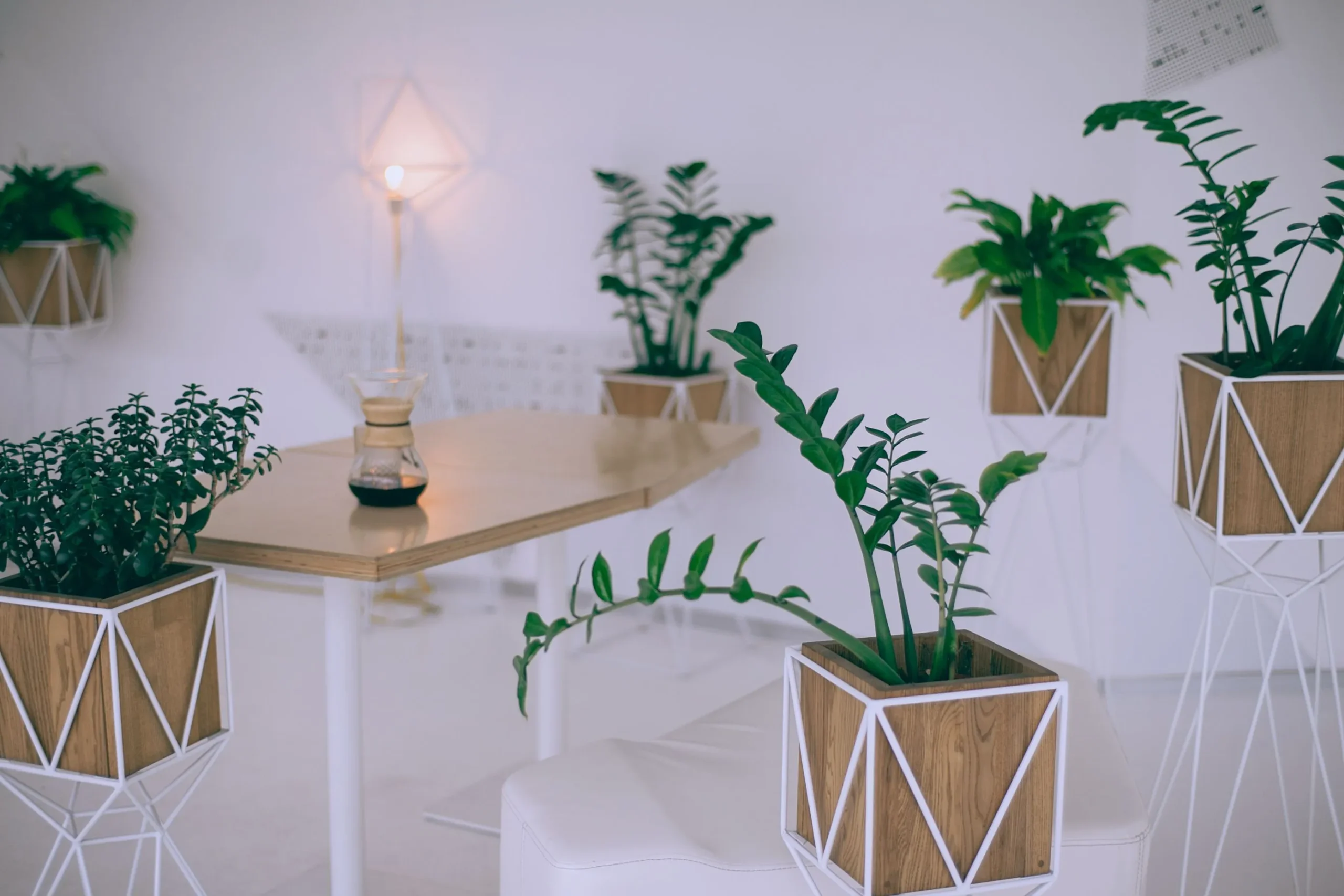 Pot en bois pour plante d'intérieur