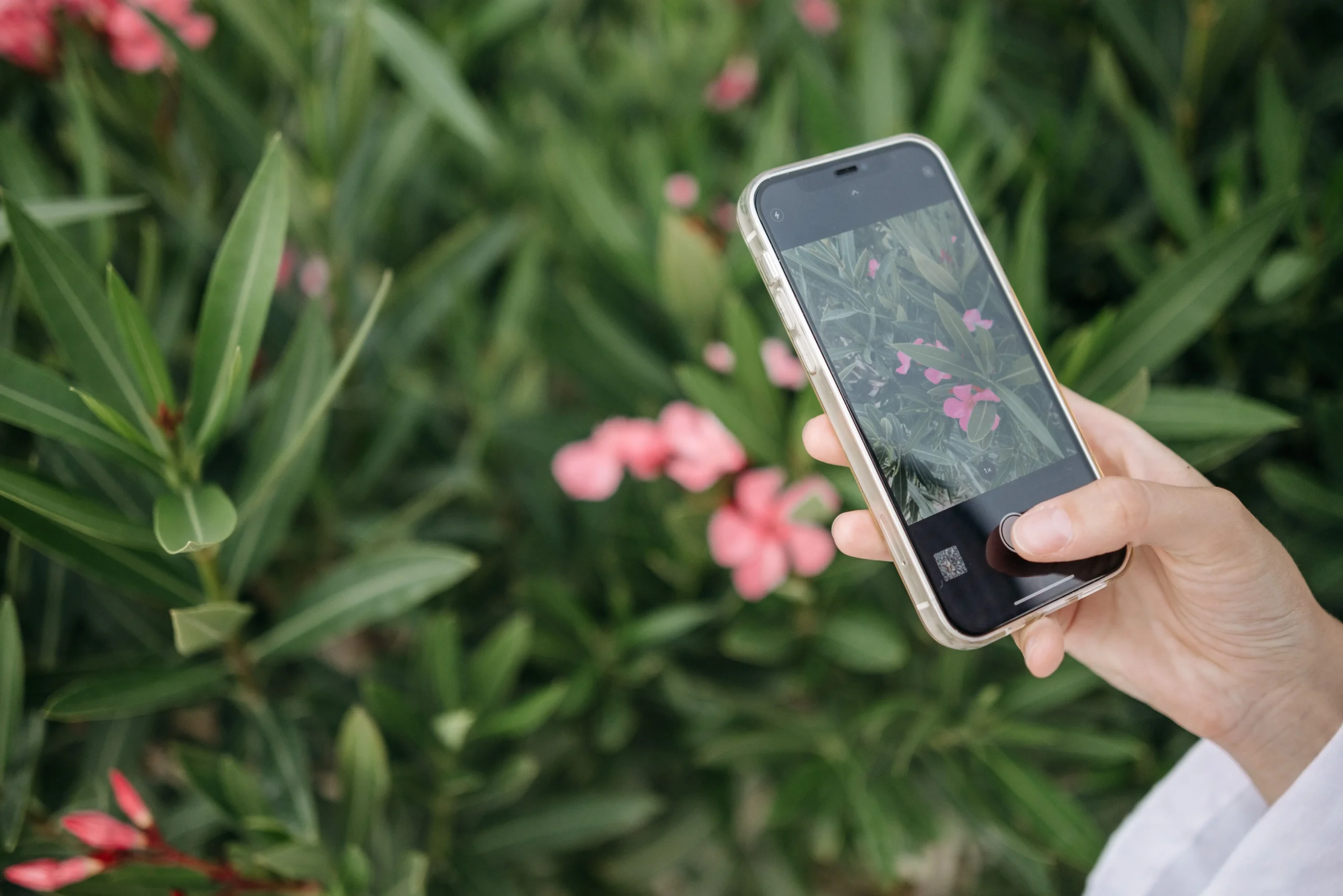 Application Planta pour suivi complet des plantes d'intérieur