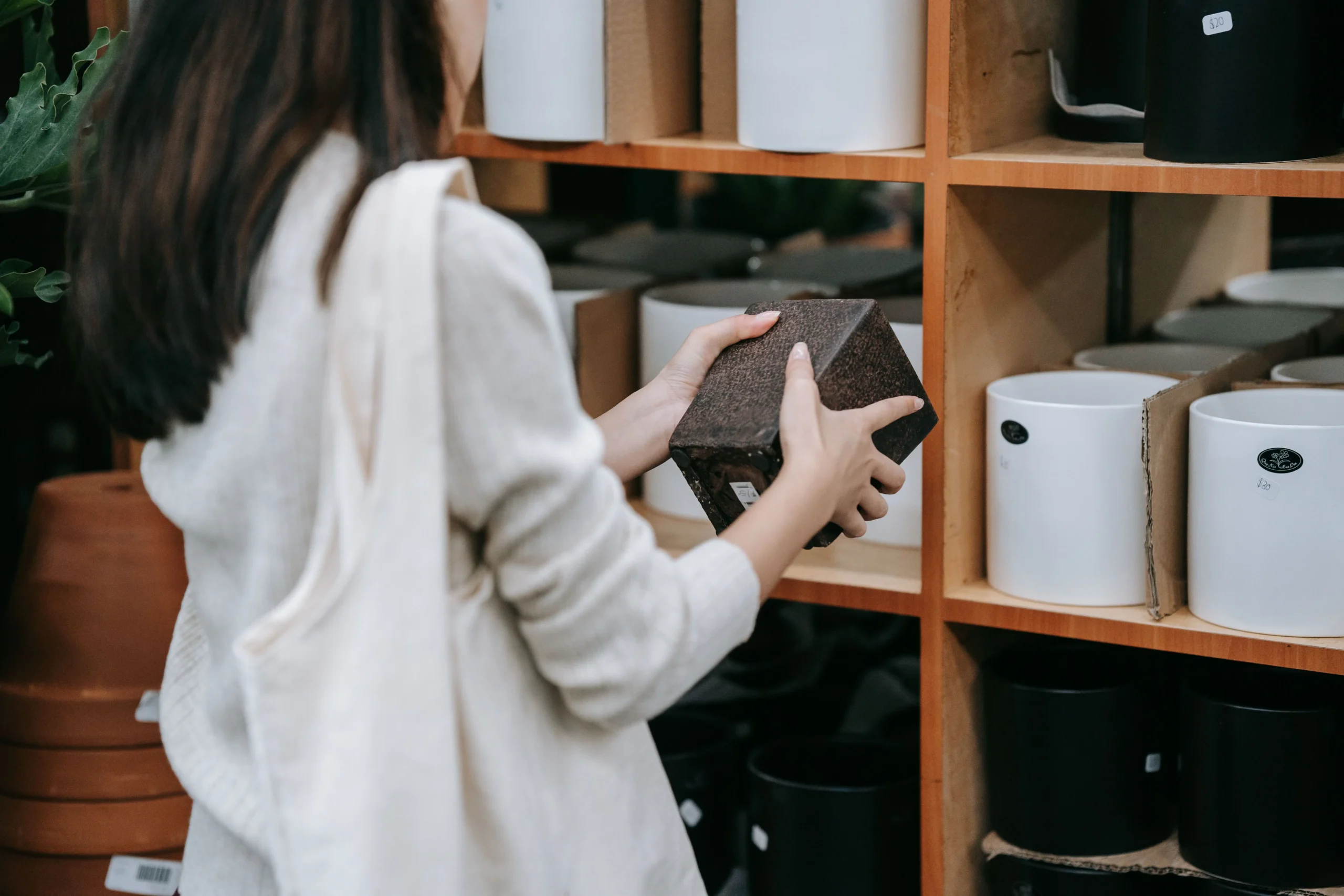 Ceramic, terracotta and wicker pots for indoor plants