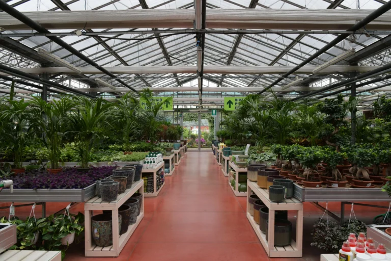 Oh My Plant Avis 2026 : Test Complet Après 6 Mois d&rsquo;Abonnement