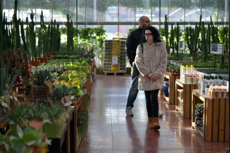 Où Acheter Plantes en Ligne en 2026 ?