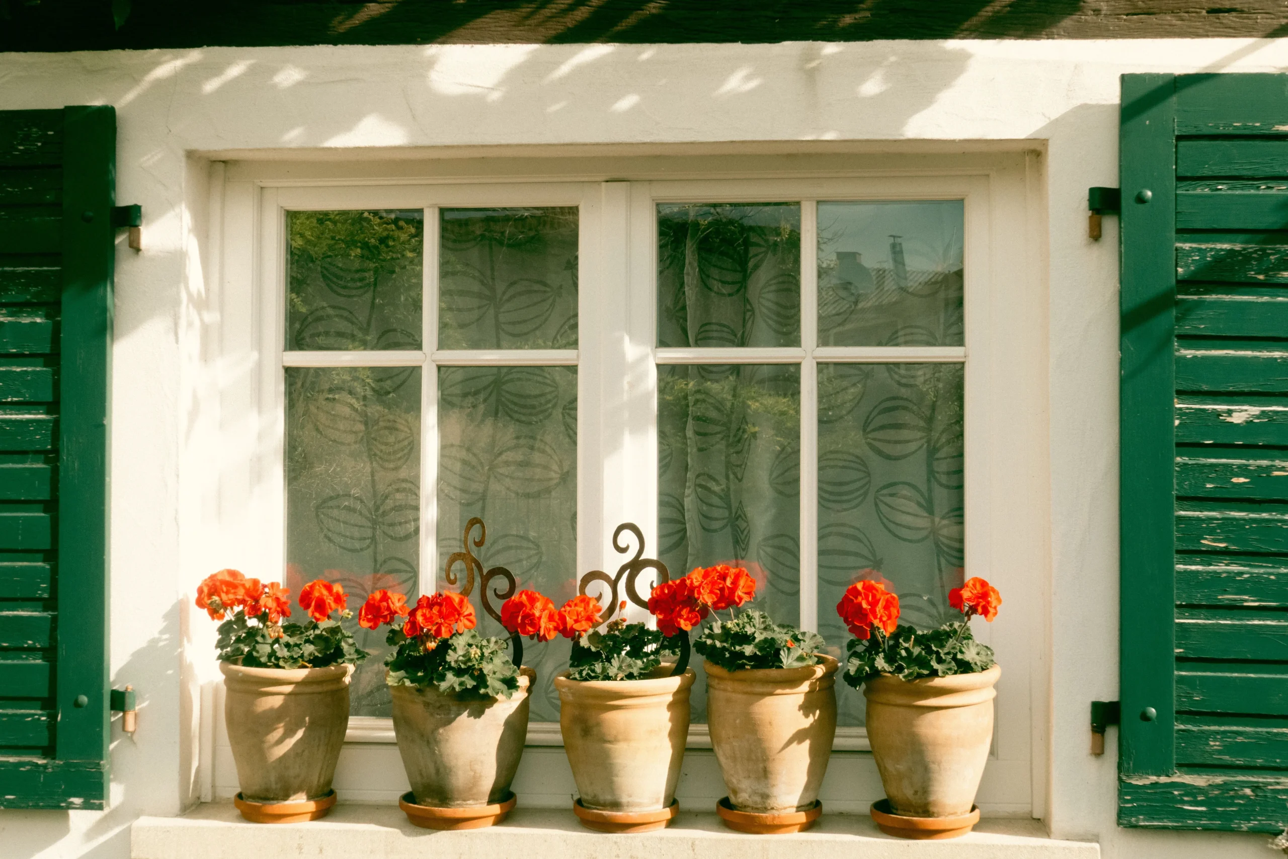 Pot en terre cuite pour plante d'intérieur