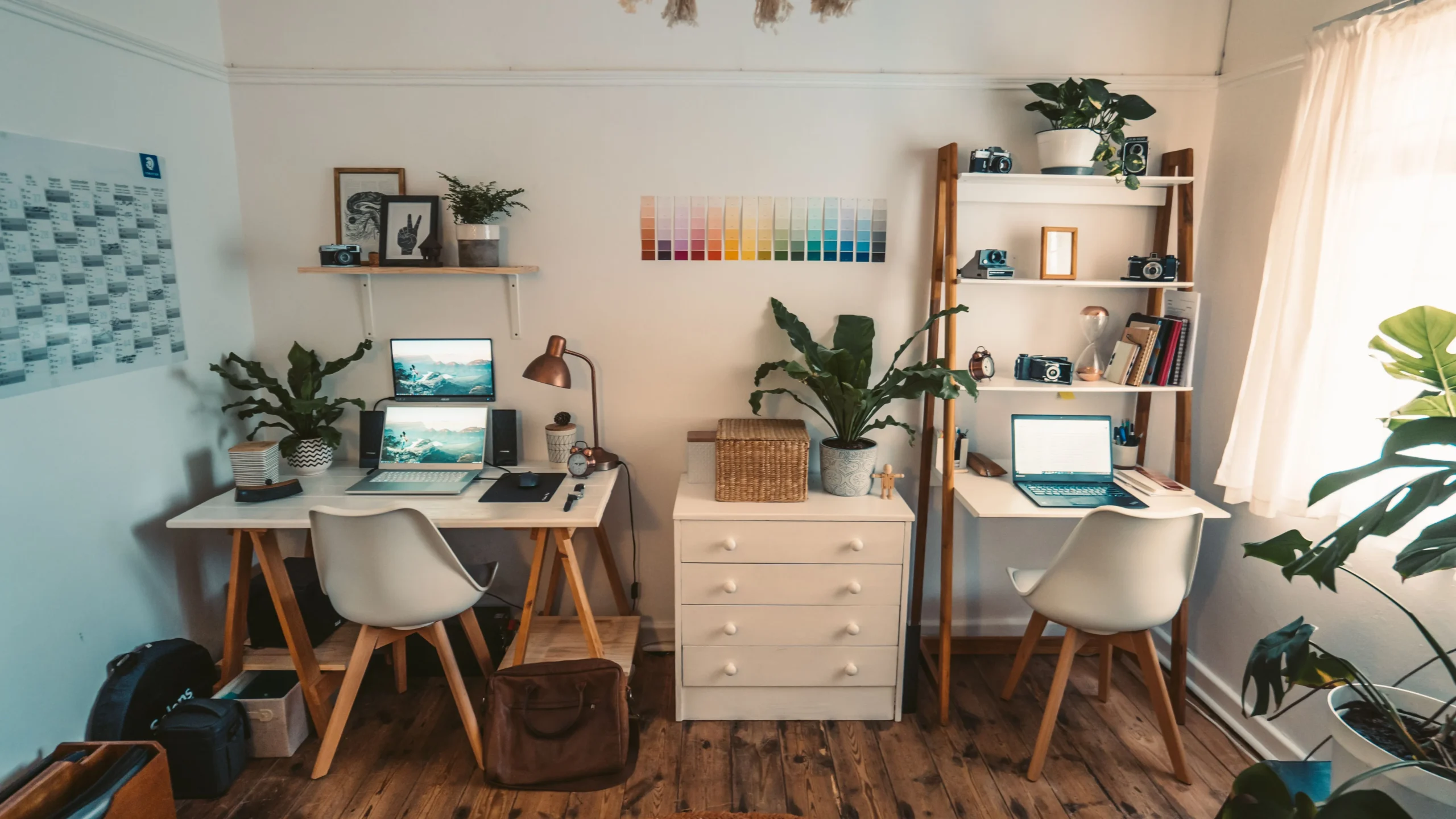 Plantes d'intérieur autour d'un bureau à domicile
