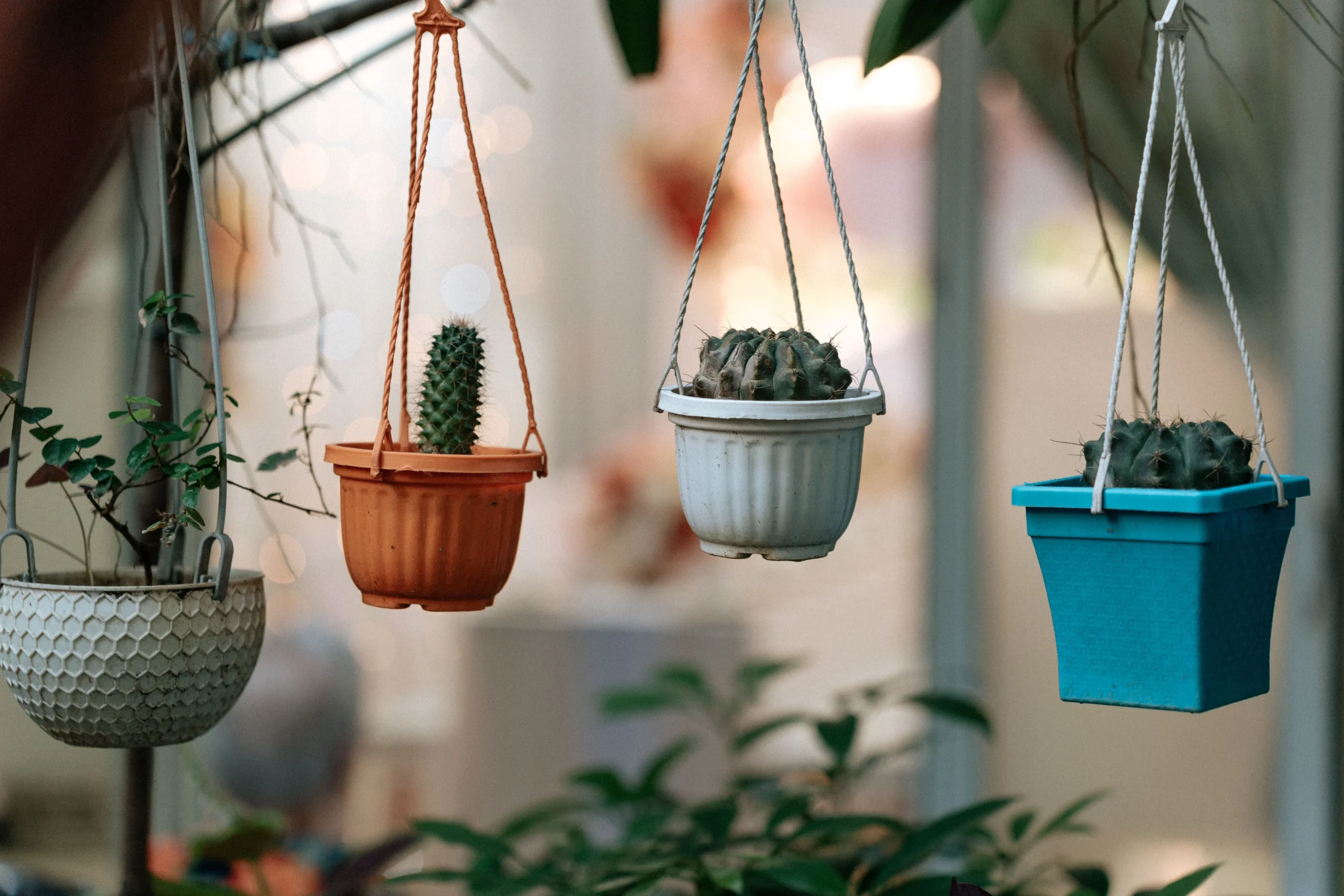 Pot en plastique recyclé pour plante d'intérieur