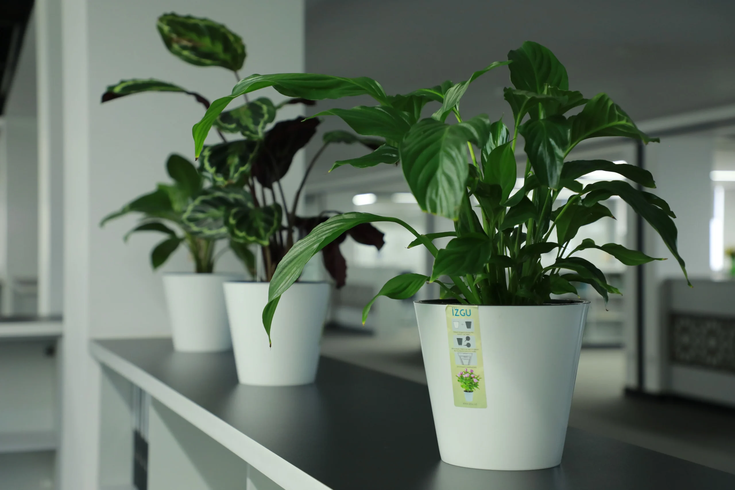 Recycled plastic pot for indoor plants