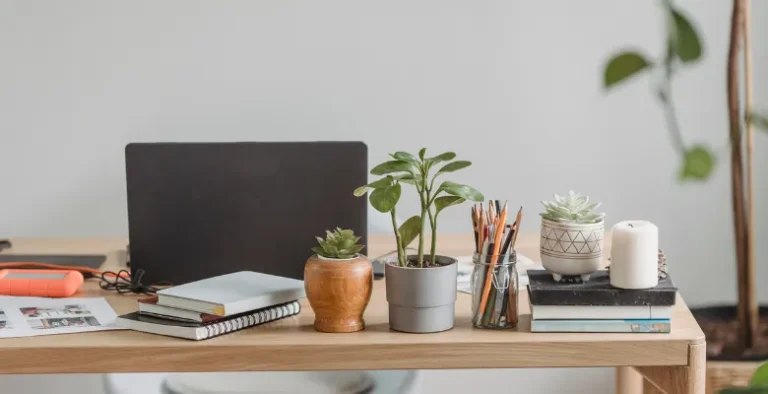Biophilia au bureau : Comment végétaliser votre espace de travail à domicile